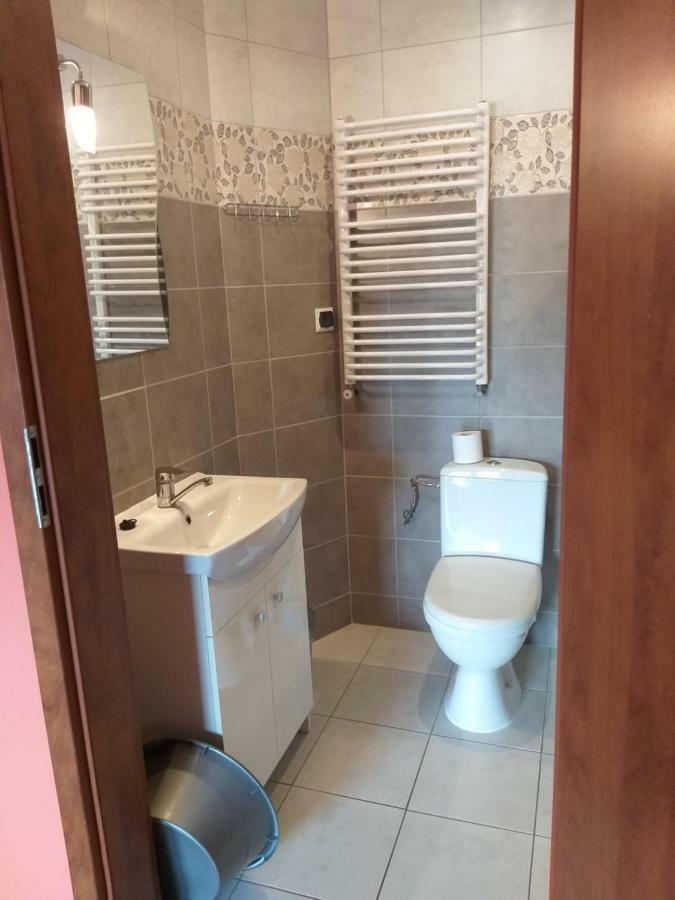 Apartamenty "Anusia" Ledzin Ngoại thất bức ảnh