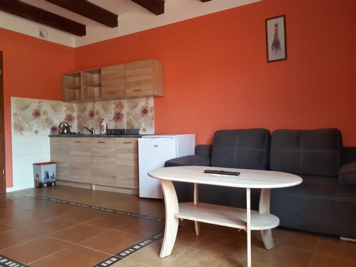Apartamenty "Anusia" Ledzin Ngoại thất bức ảnh